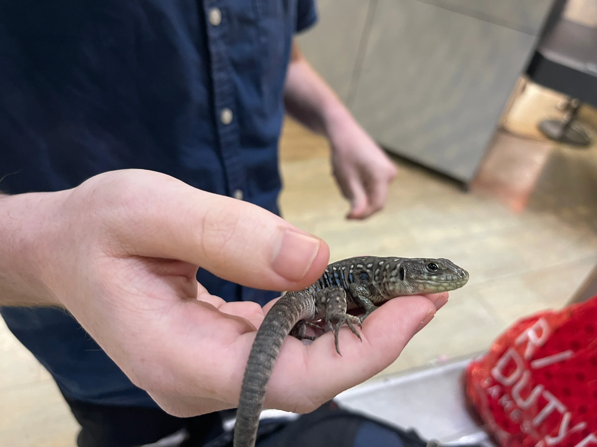 Whatsapp Image 2023 01 09 At 1