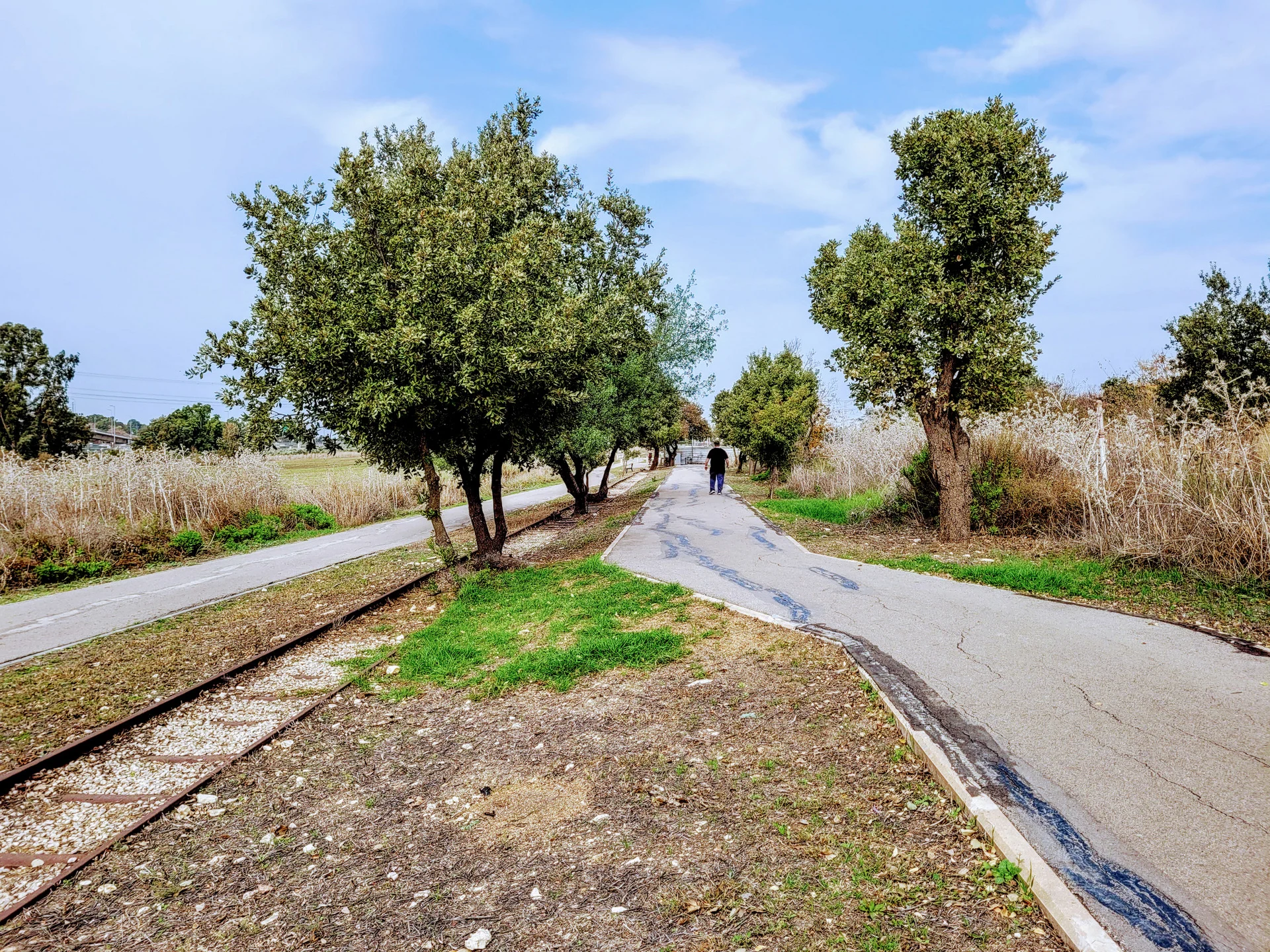 שביל נחל קישון