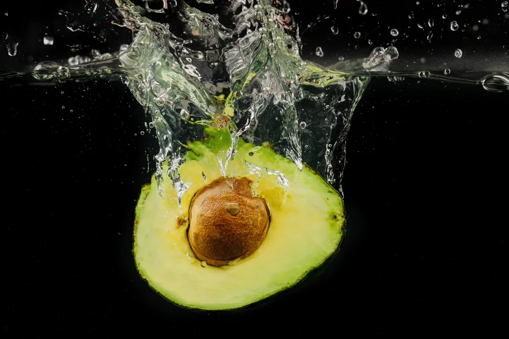 אבוקדו