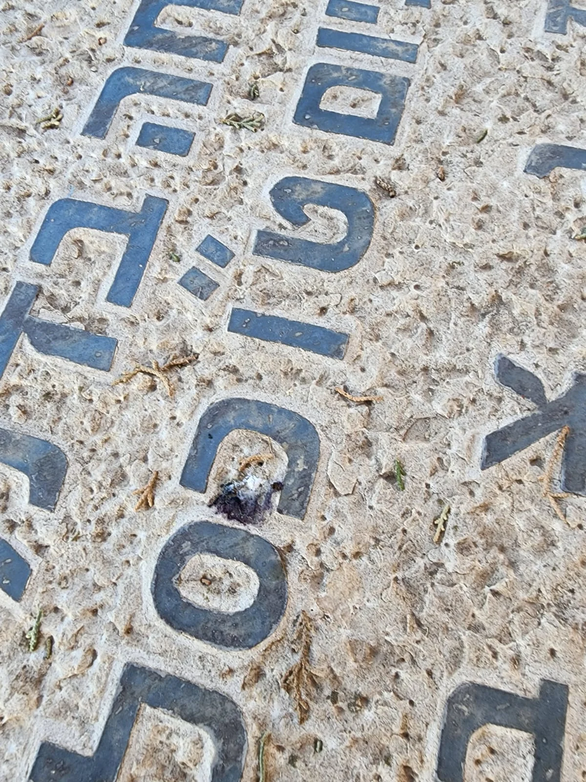 השחתת קברה של תאיר ראדה