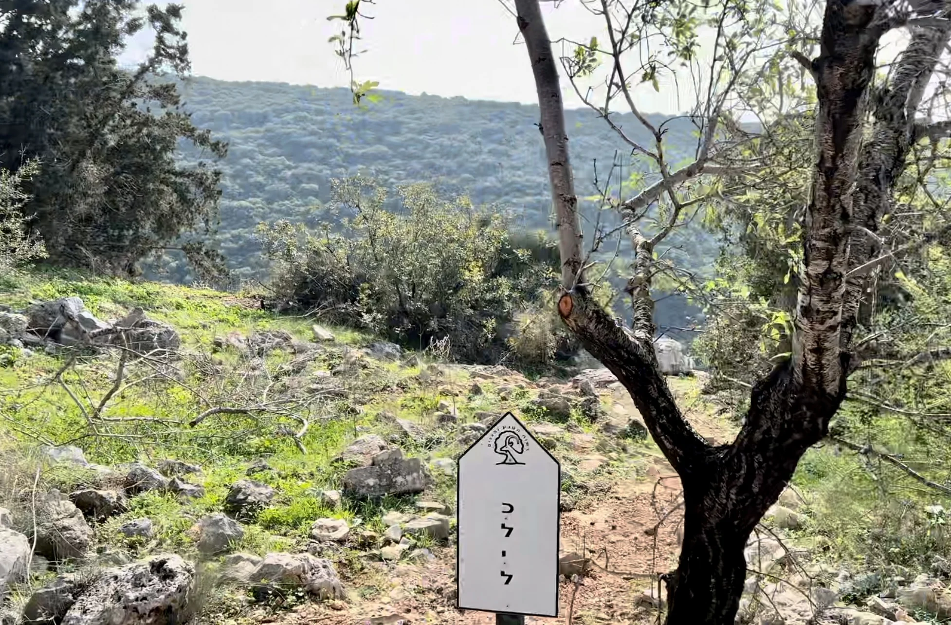נחל יחיעם