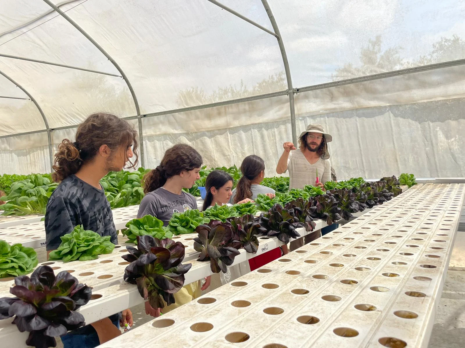 חוות שורש ועלה