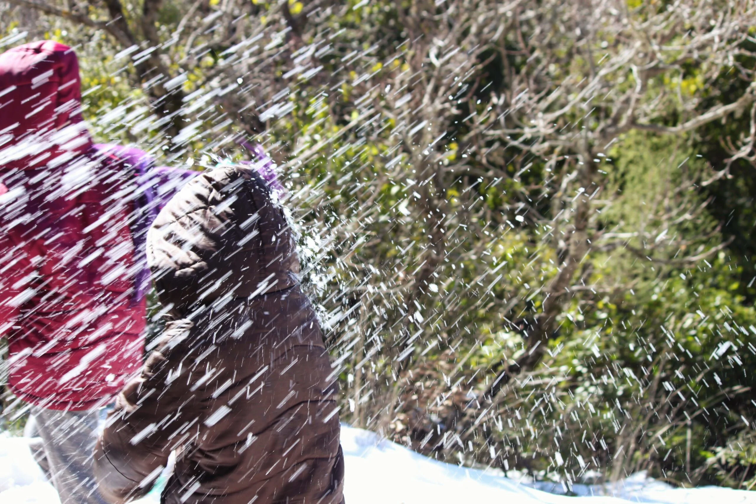 שלג בהרי הגליל