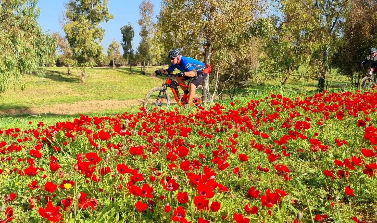 דרום אדום 2023
