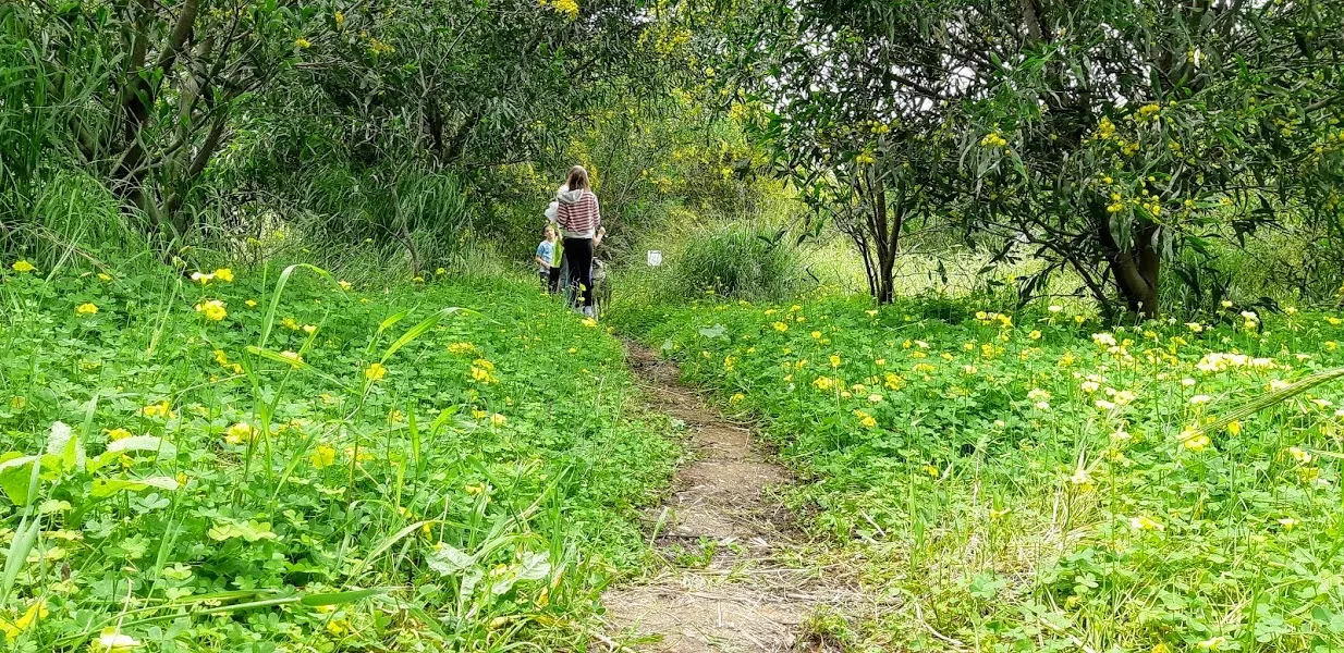 תל מיכל - הרצליה