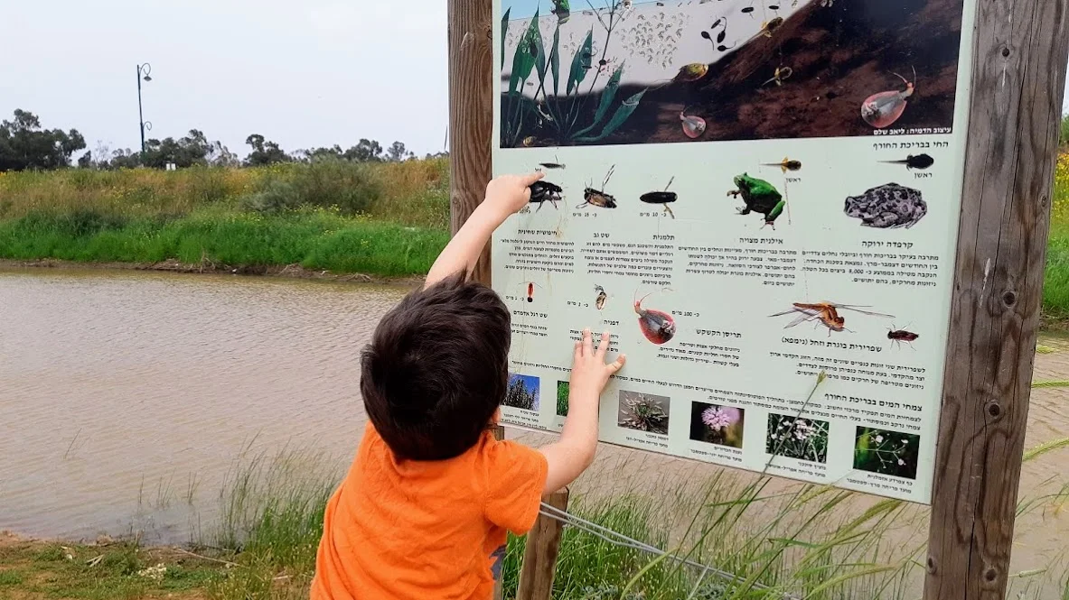 בריכת חורף לב השרון
