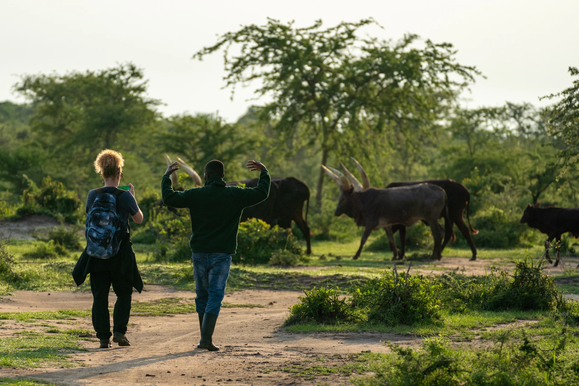 סיור באוגנדה