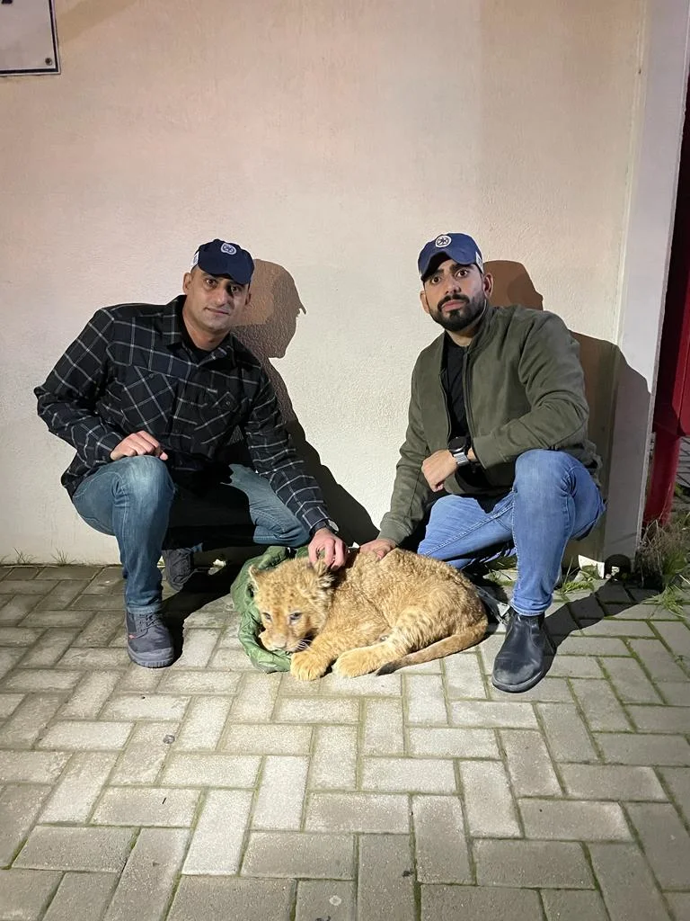 גור האריות ''אבו מאלק''