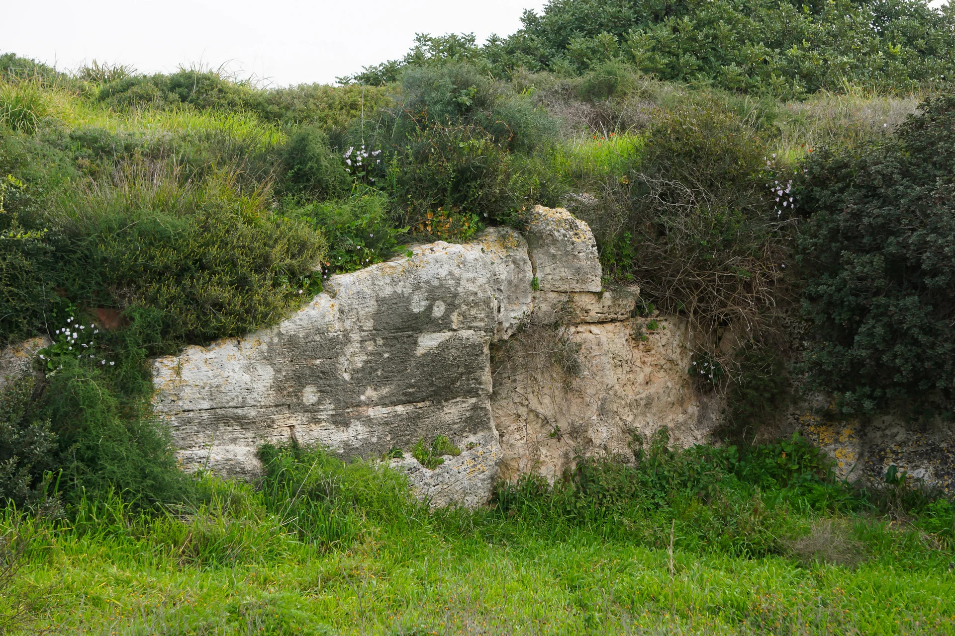 חורבת מלח, אור עקיבא