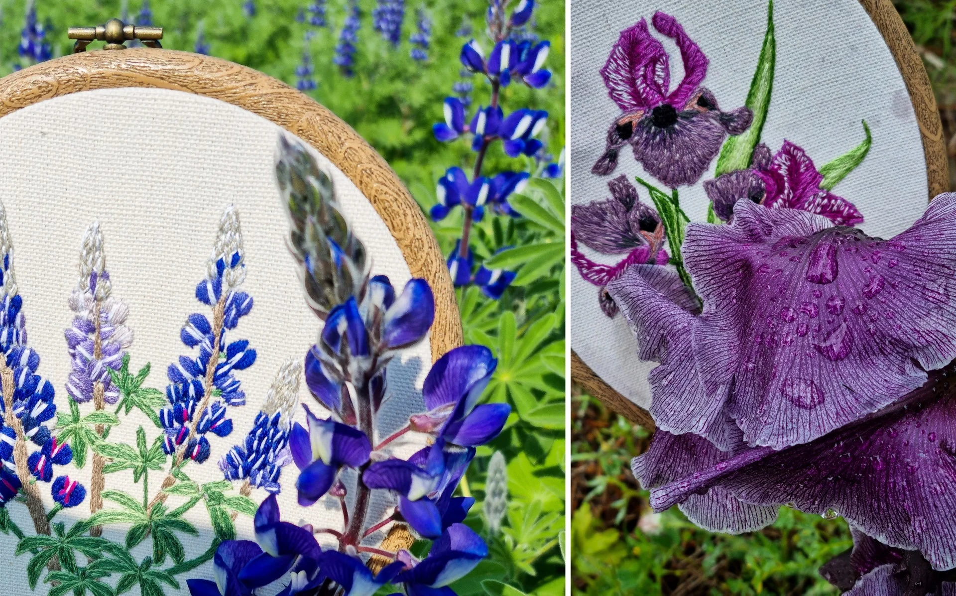 רקמת פרחים נגה שנער-שויער