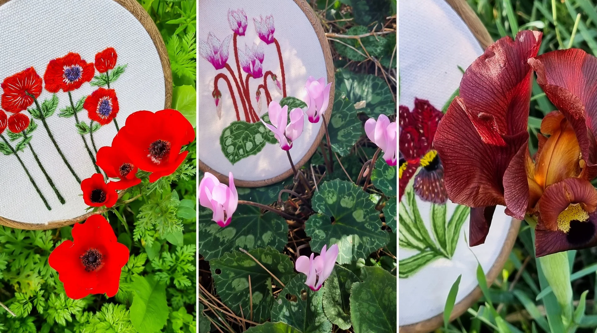 רקמת פרחים נגה שנער-שויער