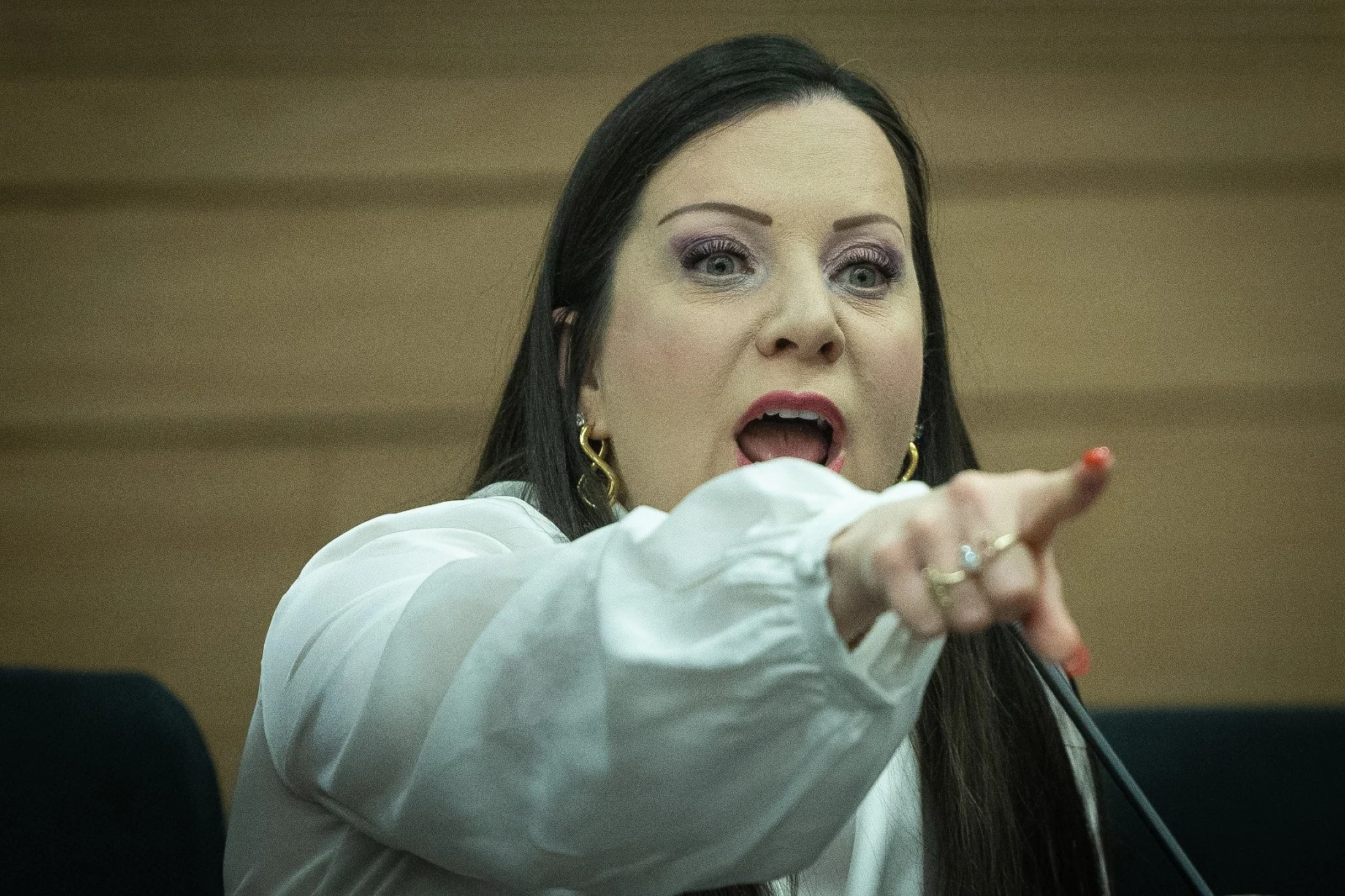 ח''כ טלי גוטליב