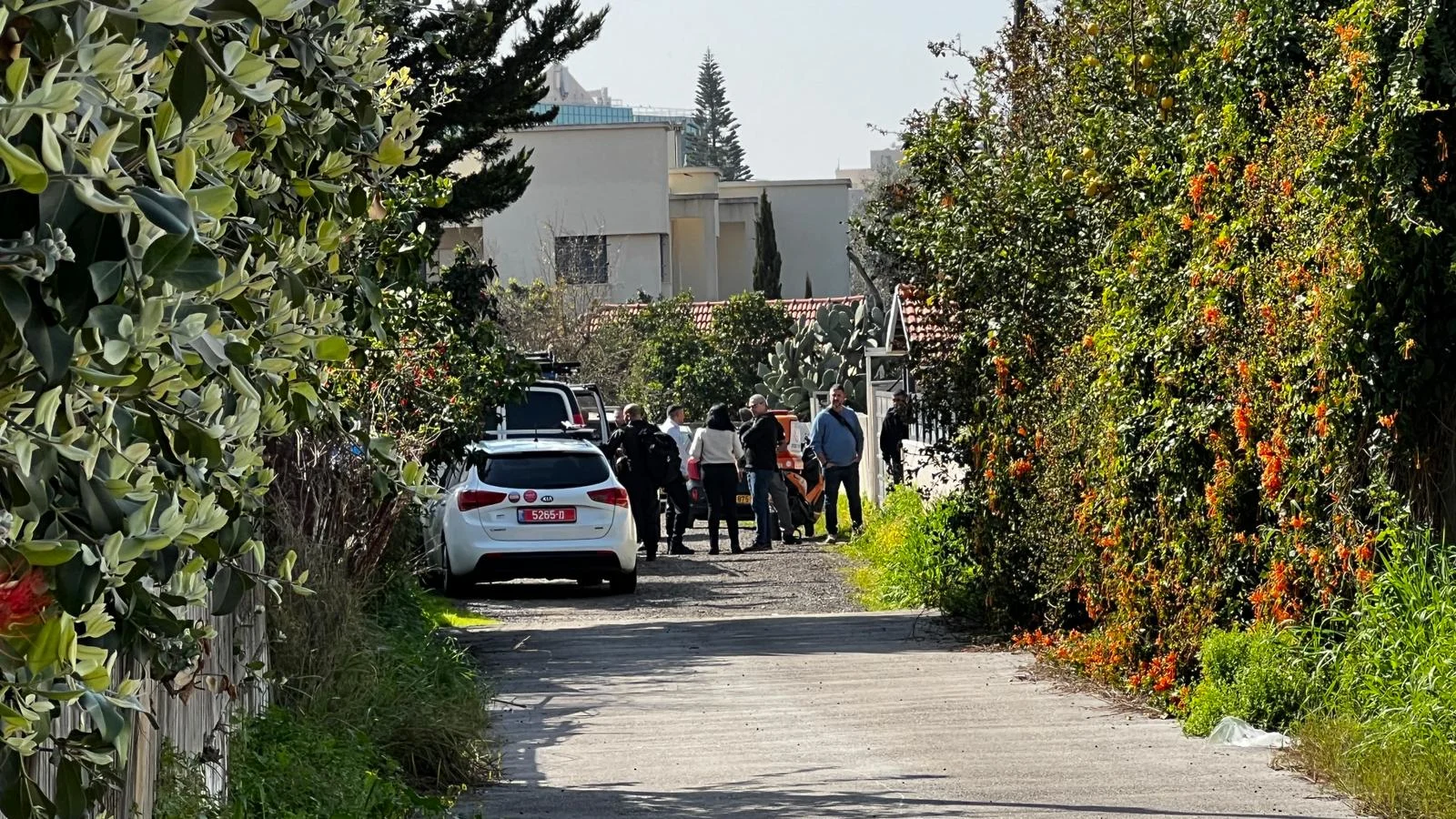 זירת הרצח בנס ציונה