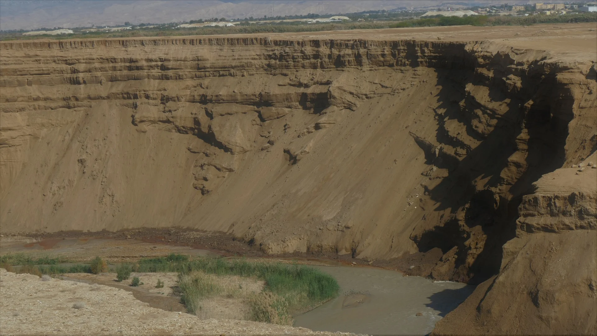 צעדת ראשוני ים המלח