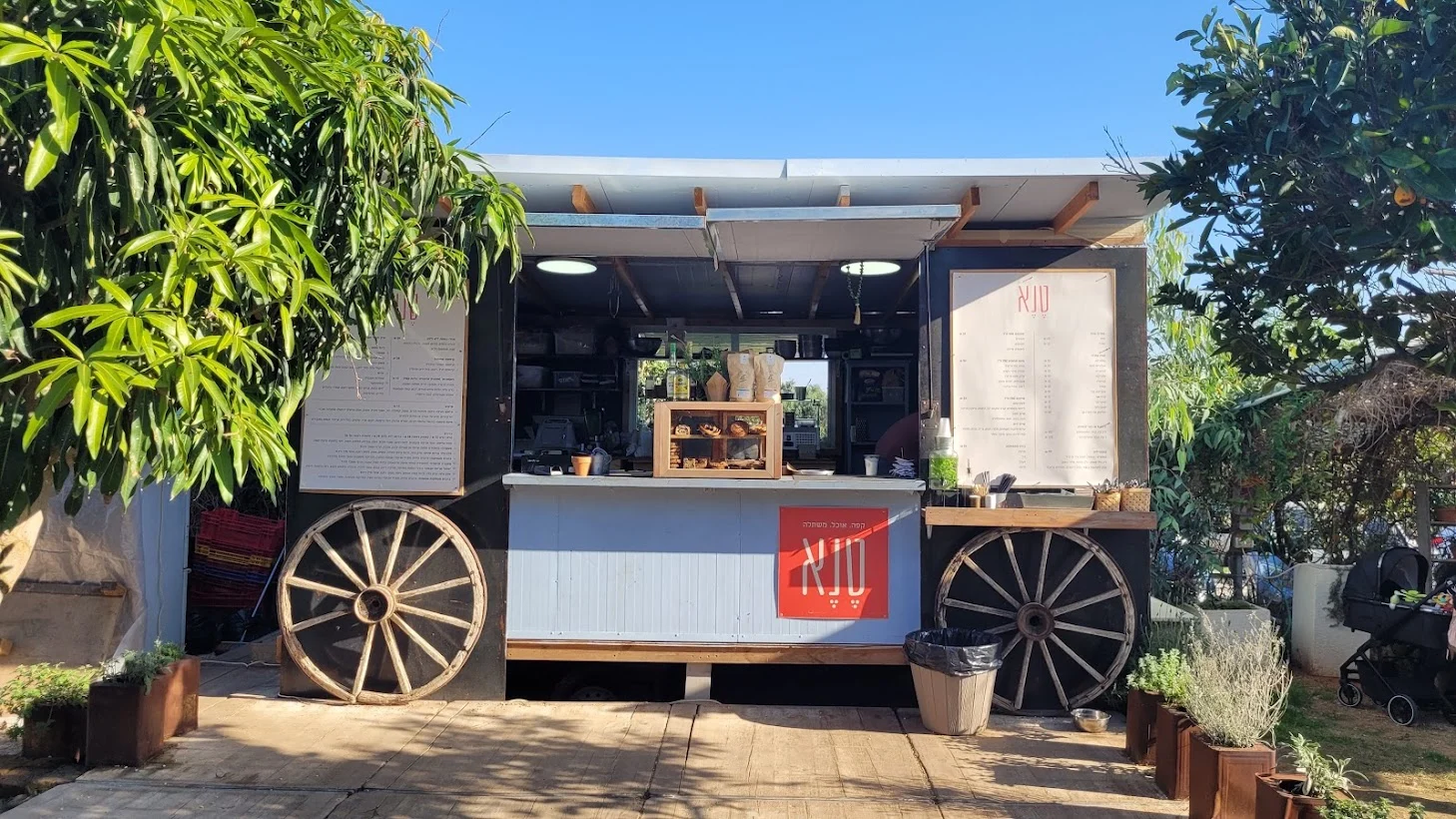 חדווה בגן וטנא קפה