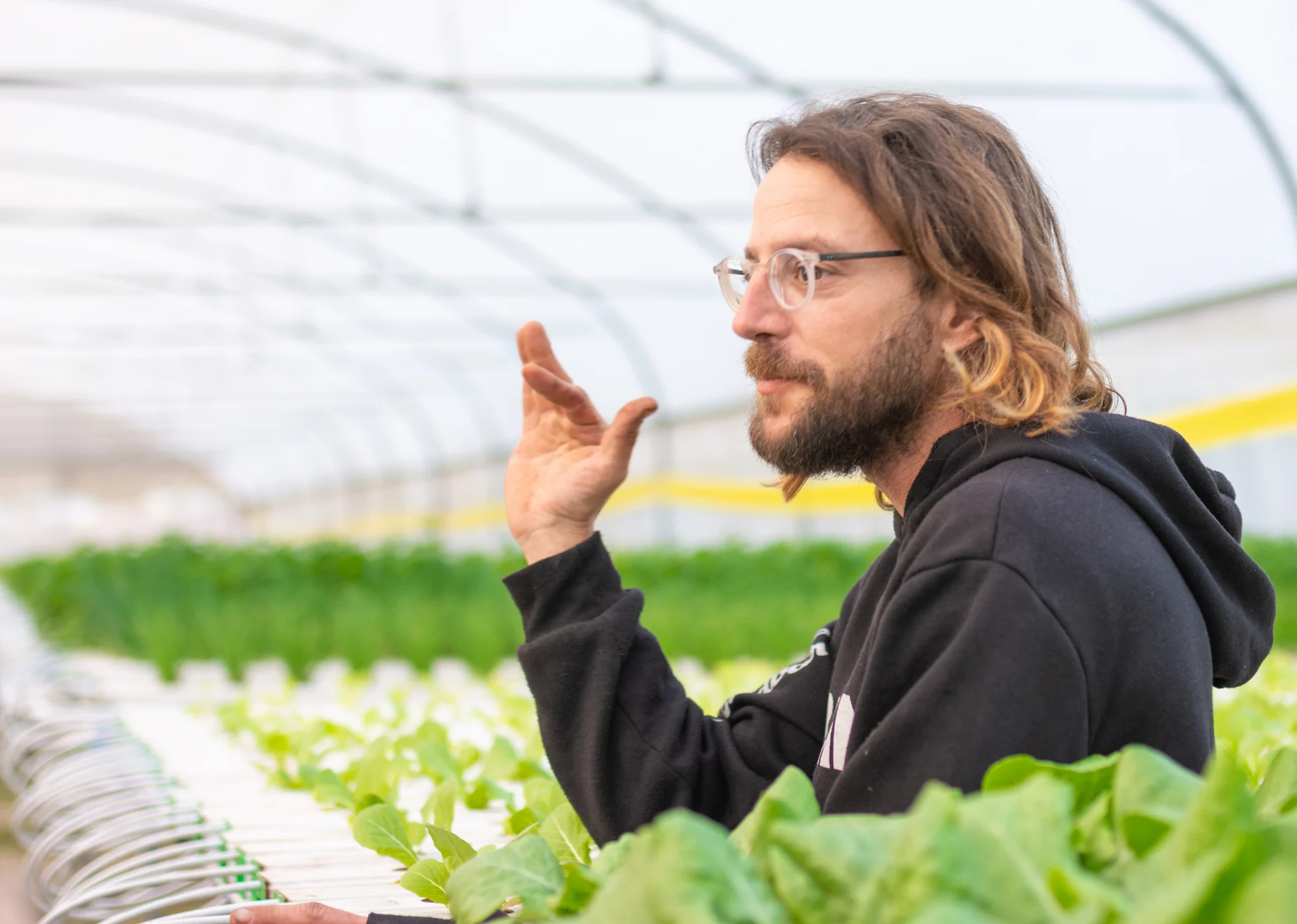 חוות שורש ועלה