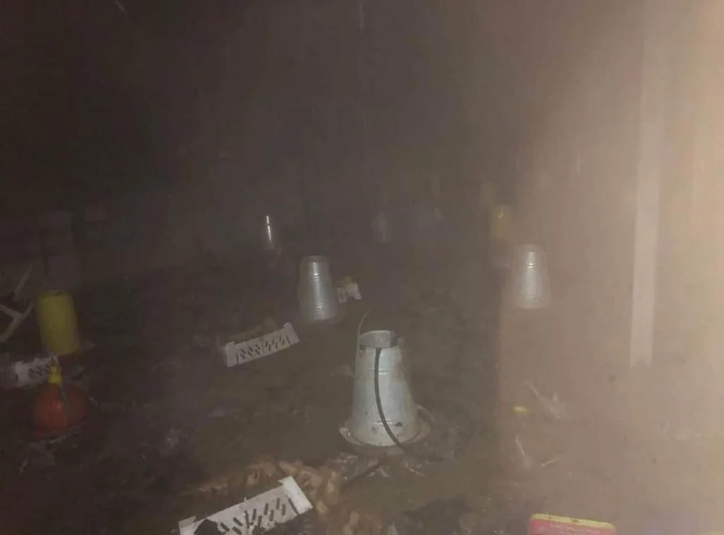 שריפת חווה פלסטינית בסלפית