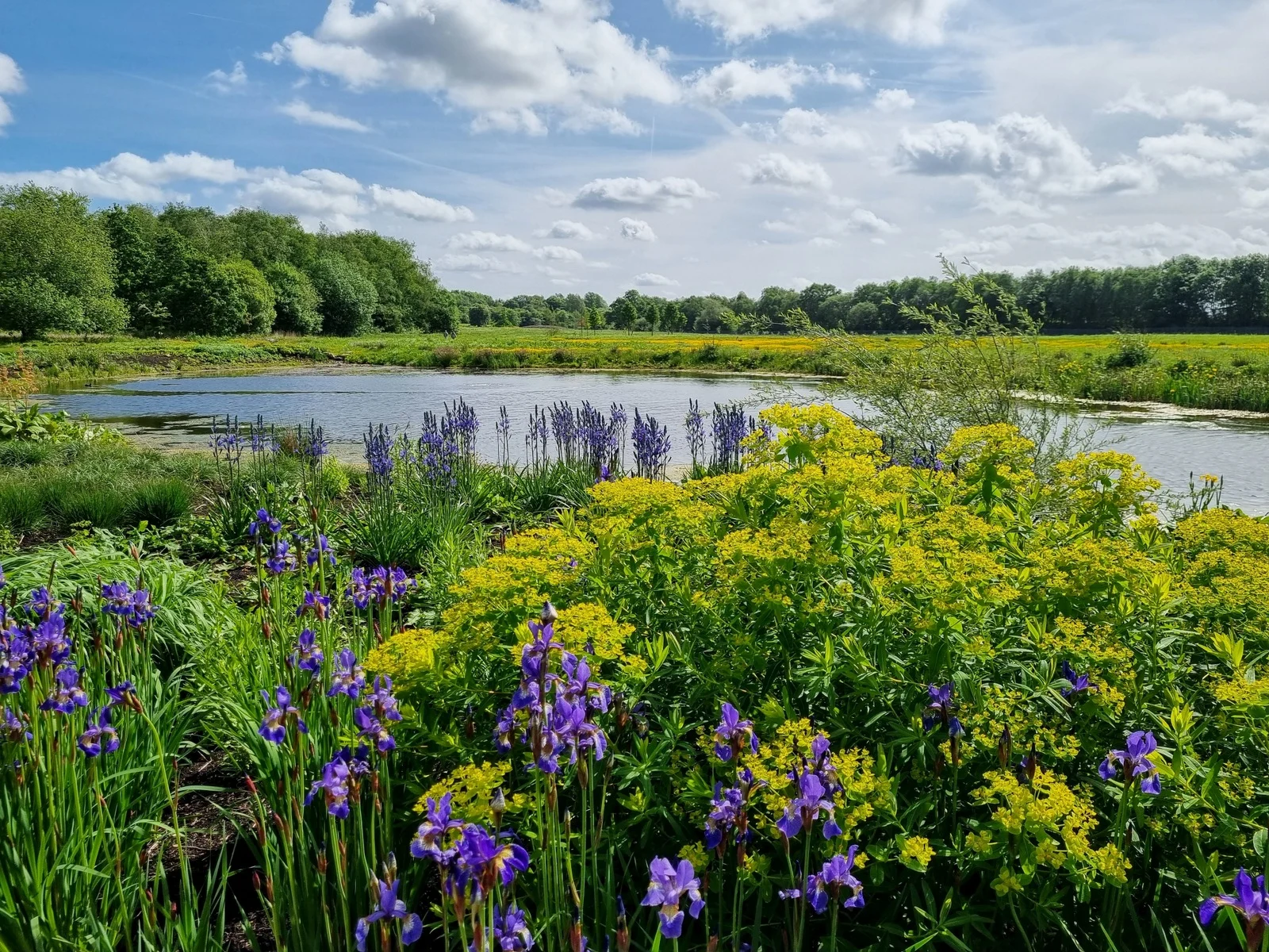 RHS Garden Bridgewater
