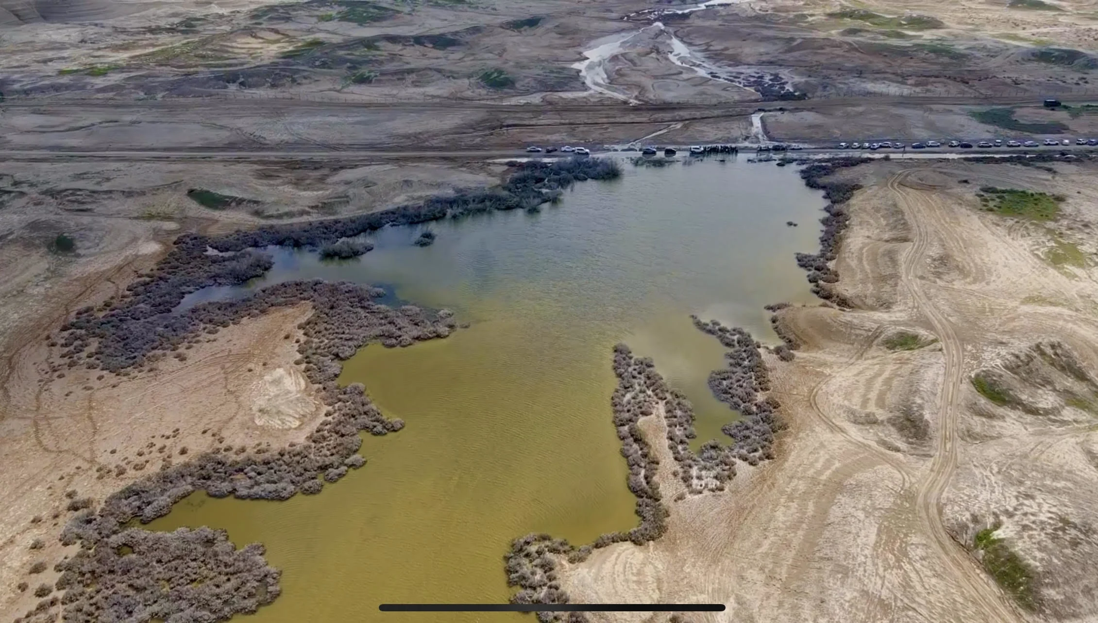 הסוואנה של הירדן.