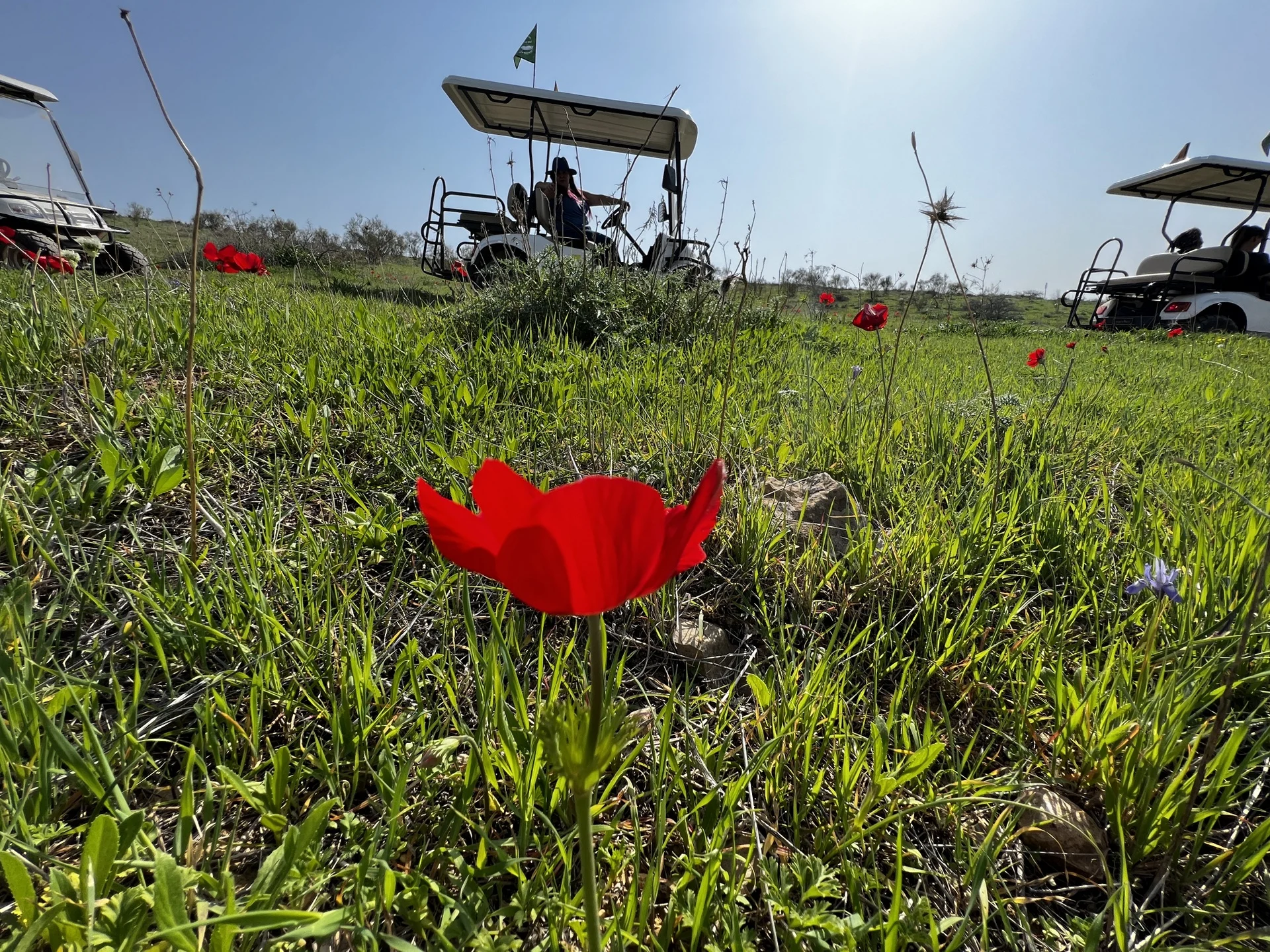קלאב קאר משכיות