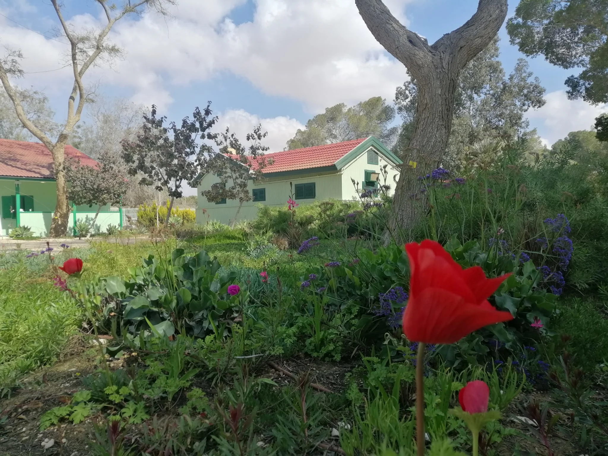 צריף בן גוריון