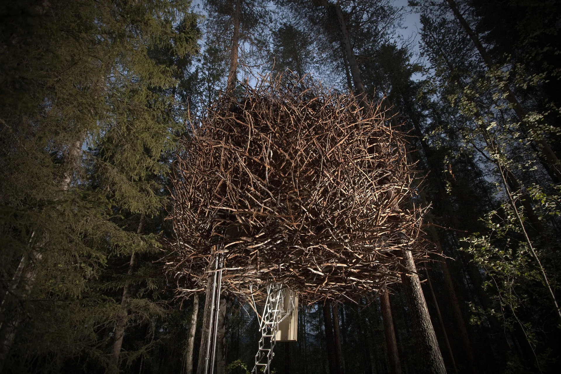 Treehotel 2