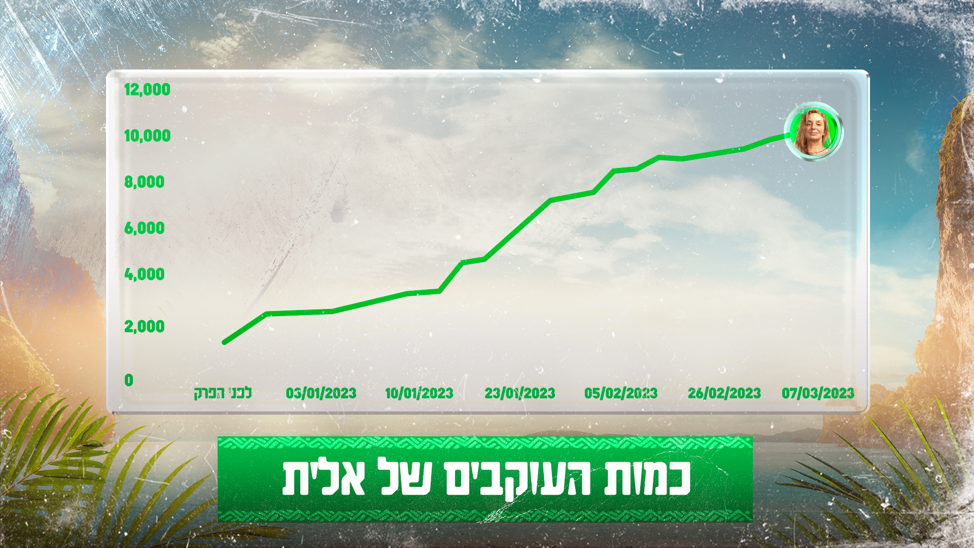 מועצת הלייקים
