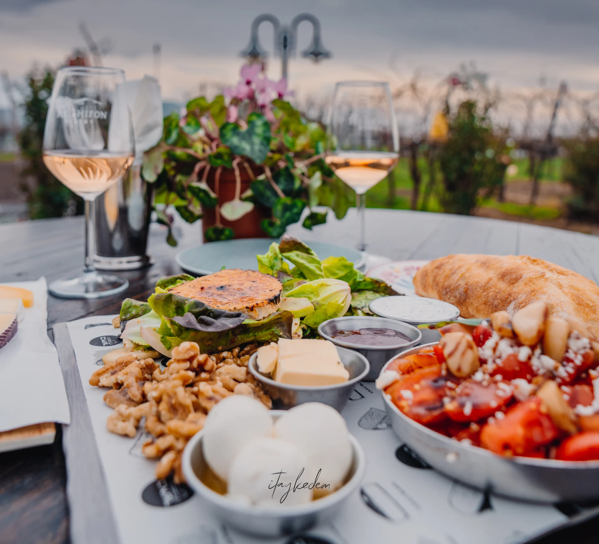 יקב תל שיפון, קיבוץ אורטל