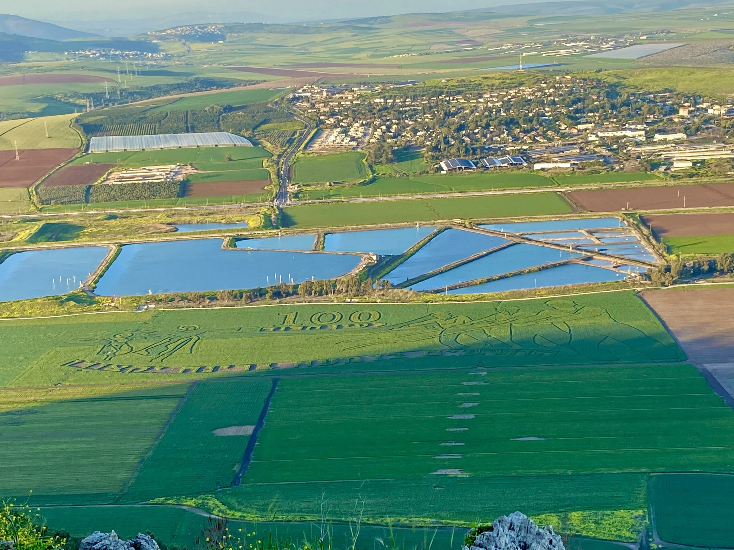 מצפור כתף שאול