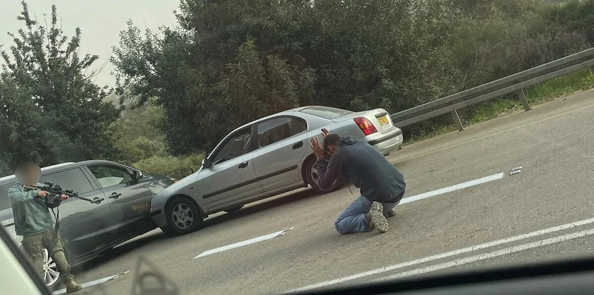 Imageedit 1 6537634622