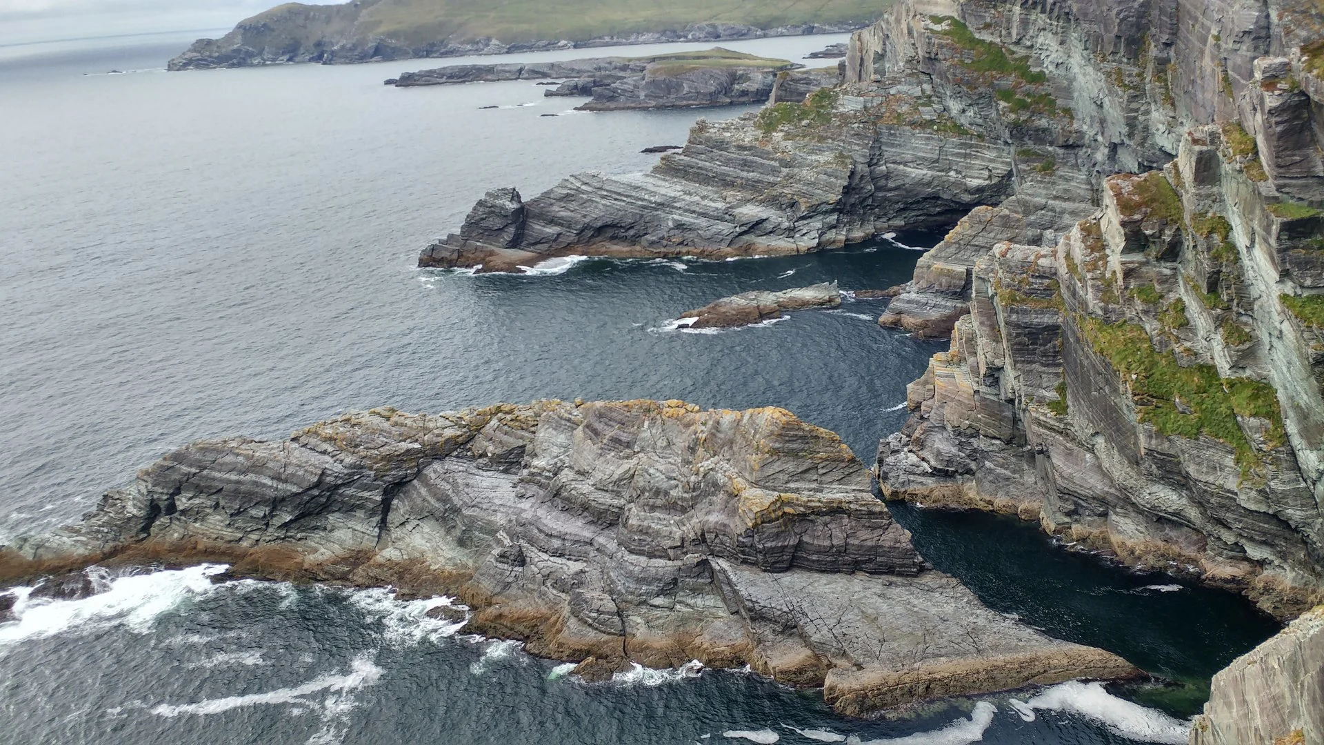 צוקי קרי אירלנד