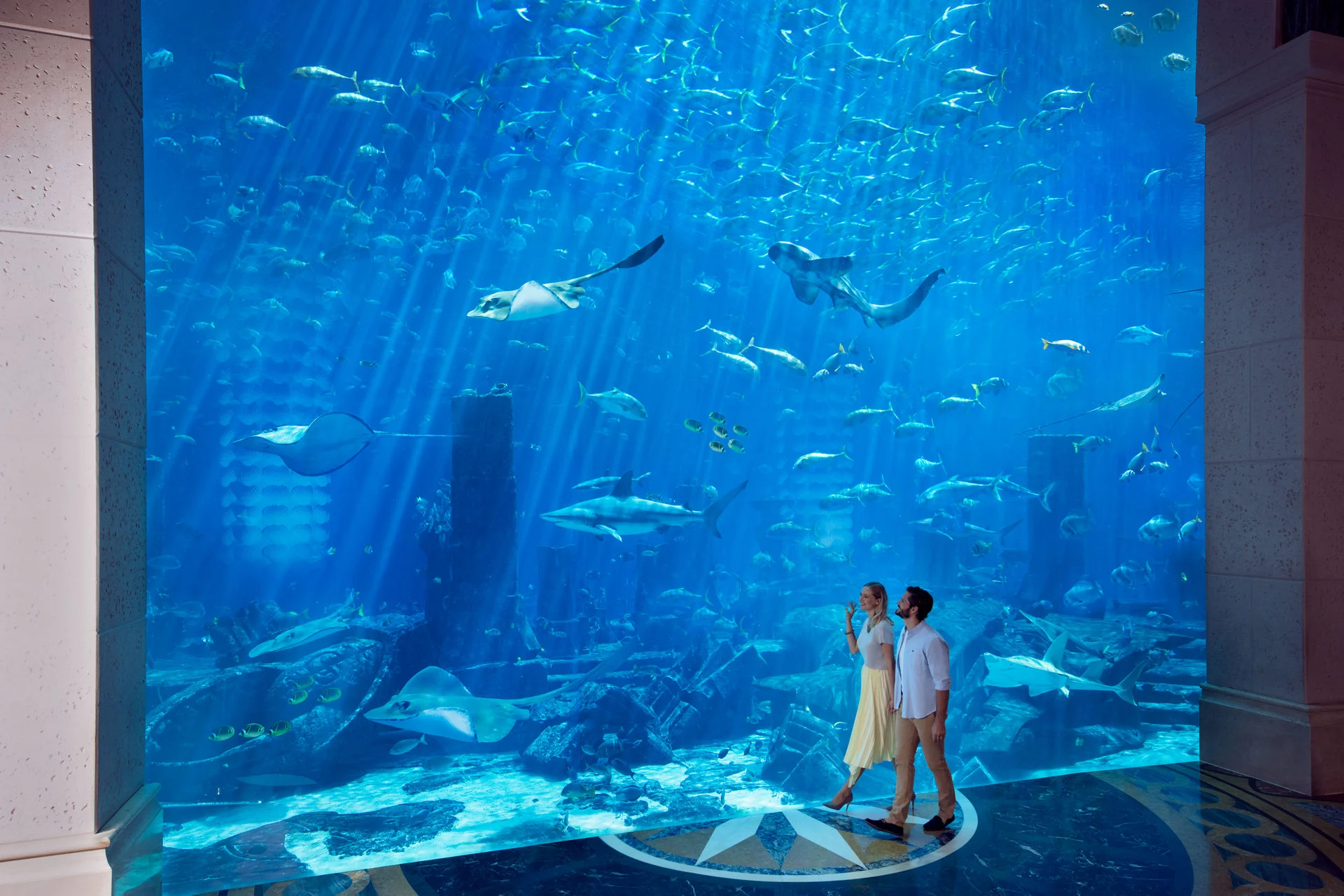 Aquariumexperiences Ambassador