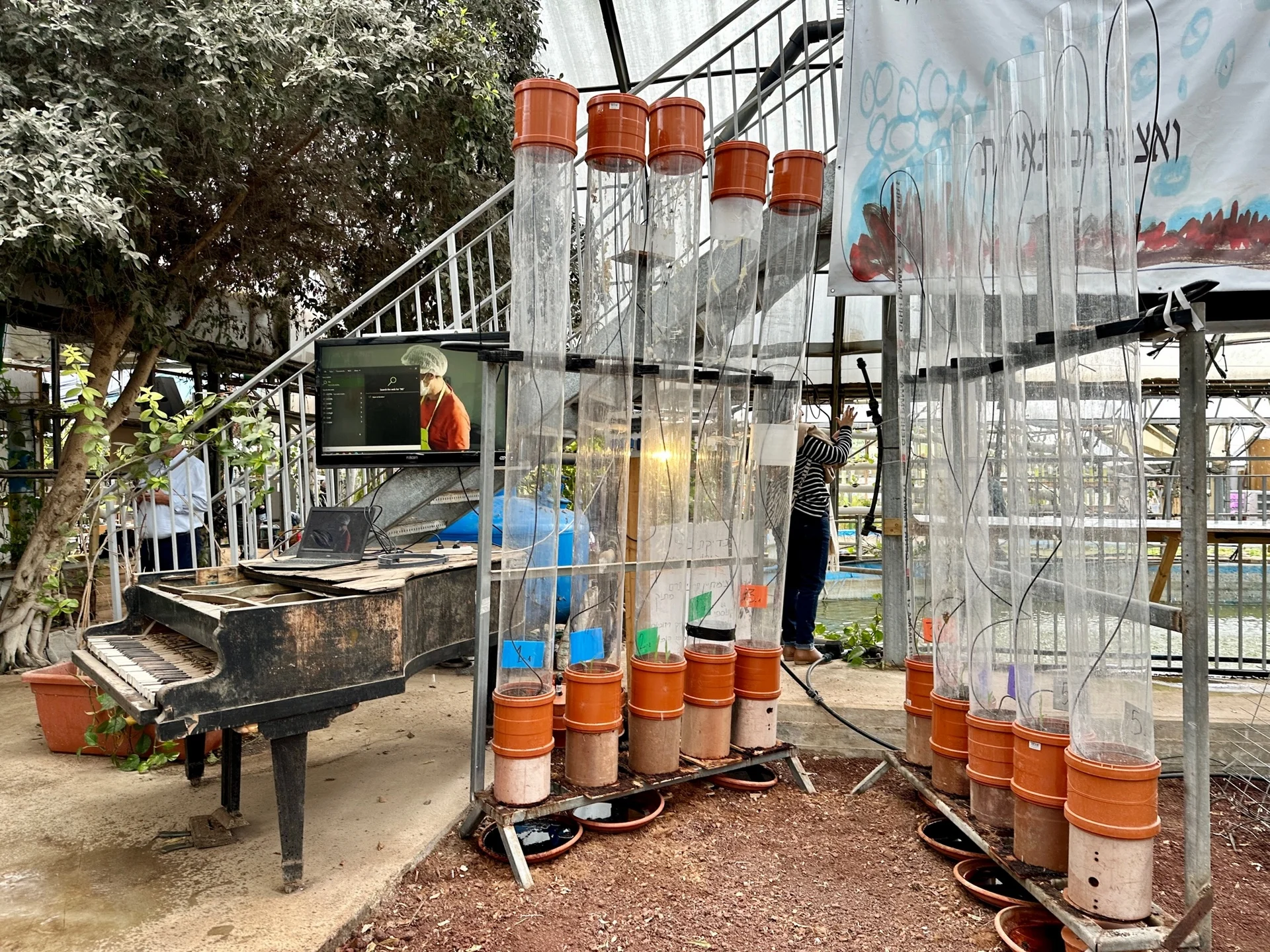 החממה האקולוגית עין שמר