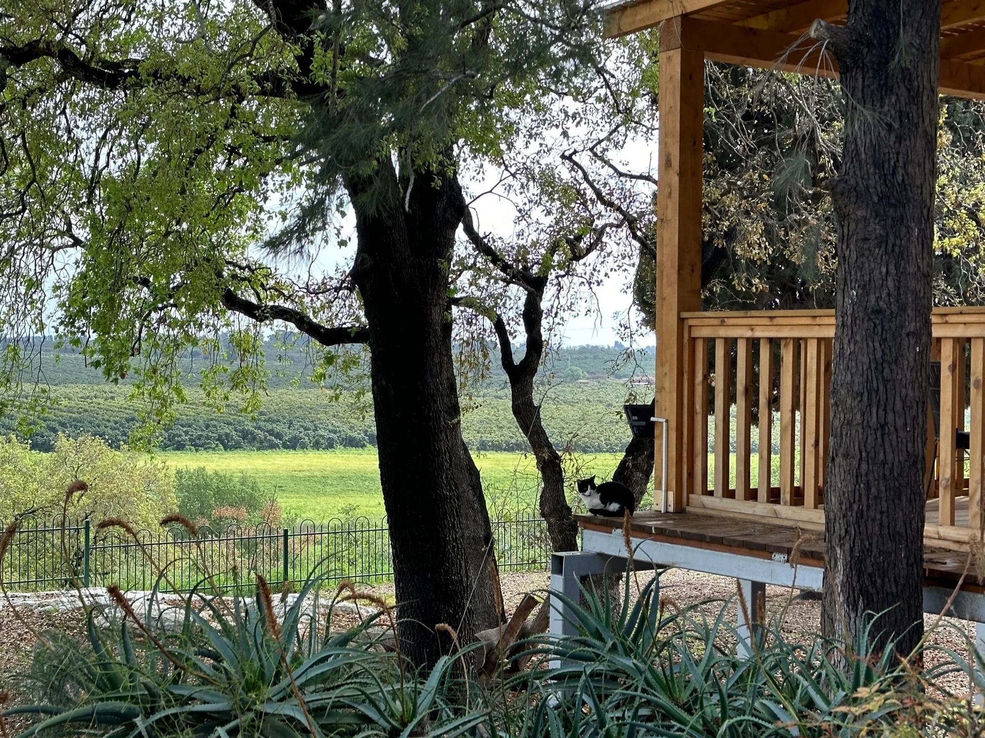 תצפית נוף בכפר גליקסון