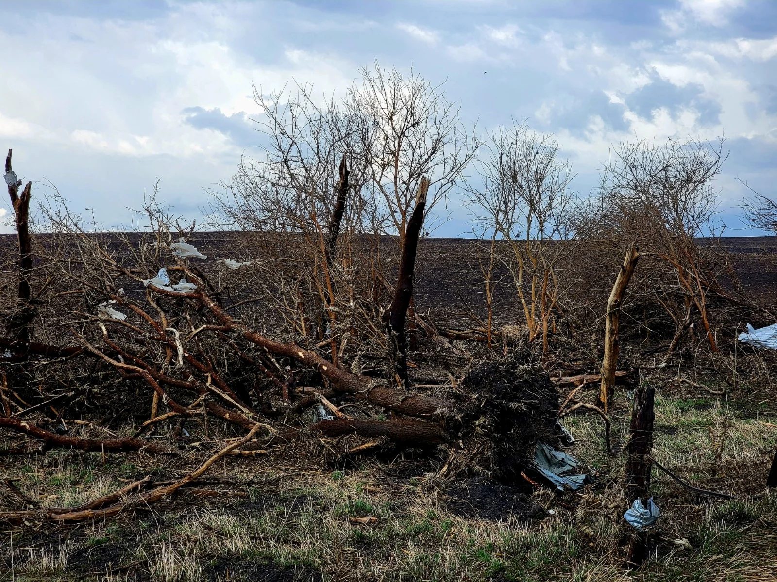 נזקי הטורנדו במחוז וופלו, איווה