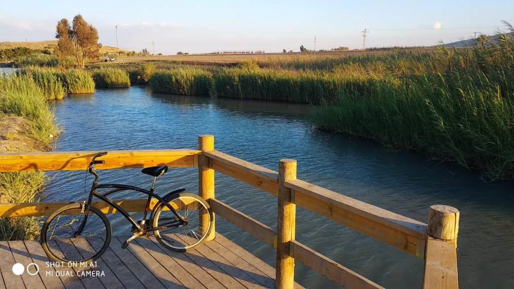 פארק המעיינות