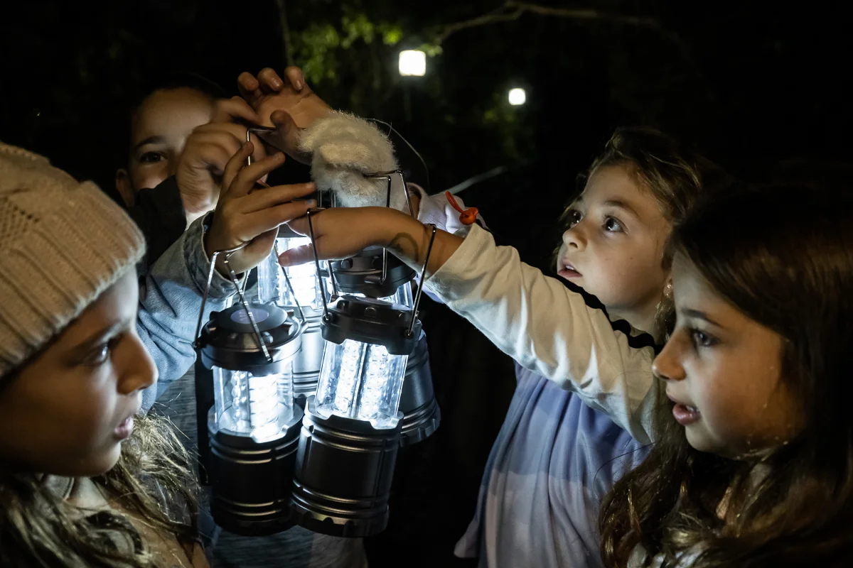 סיור עששיות בכנרת