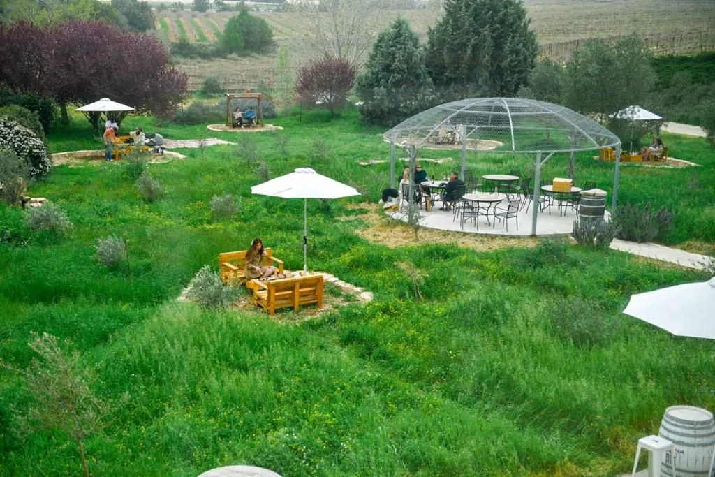 יקב הרי גליל