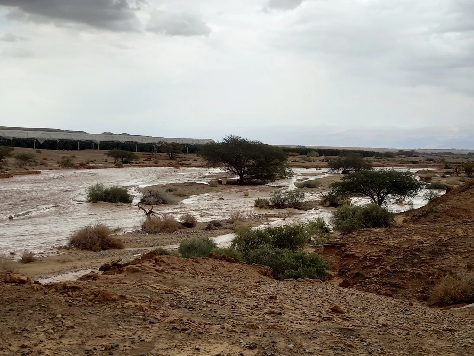 Whatsapp Image 2023 04 12 At 1