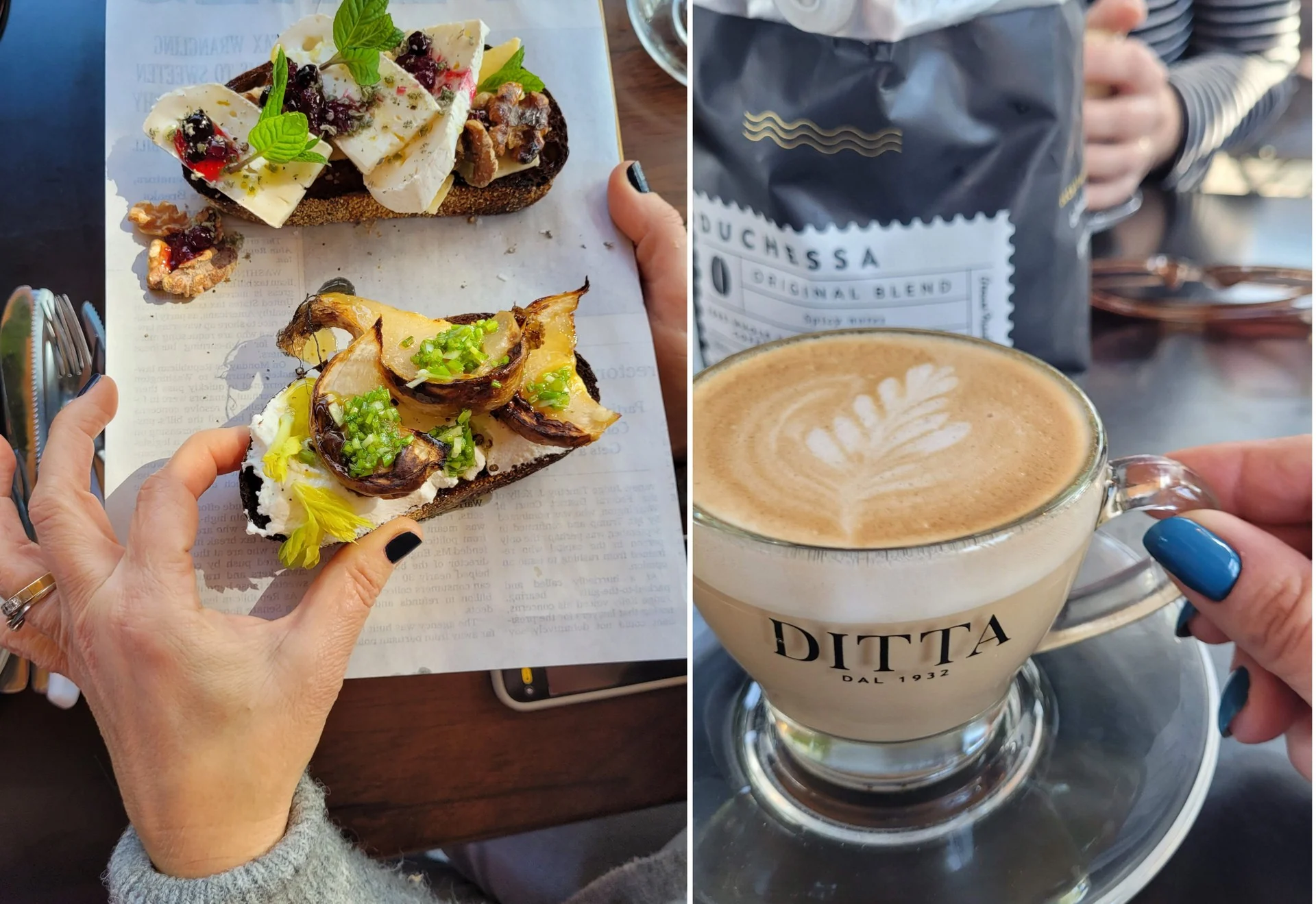 הברוש בנשקיה