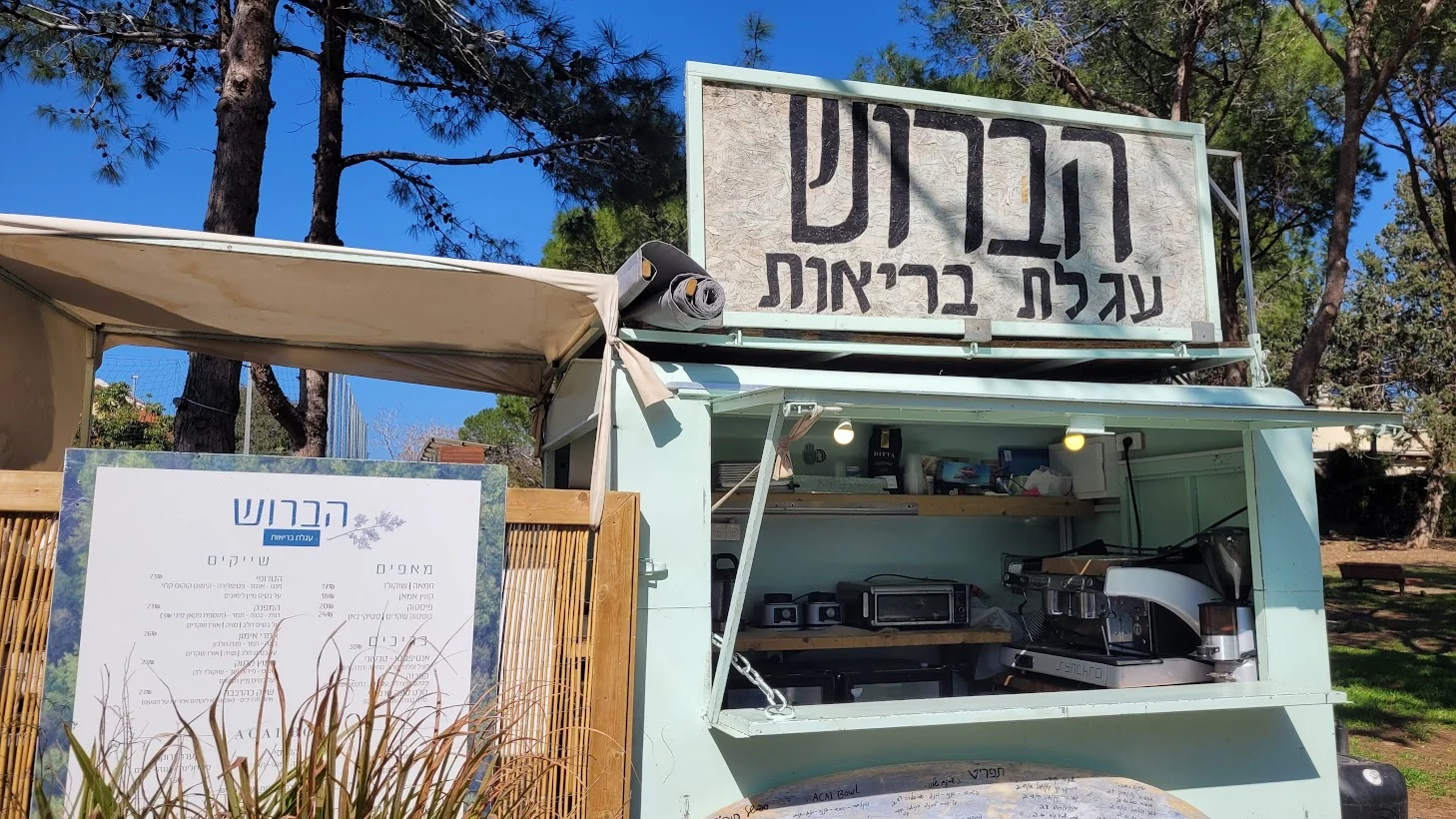 הברוש בנשקיה