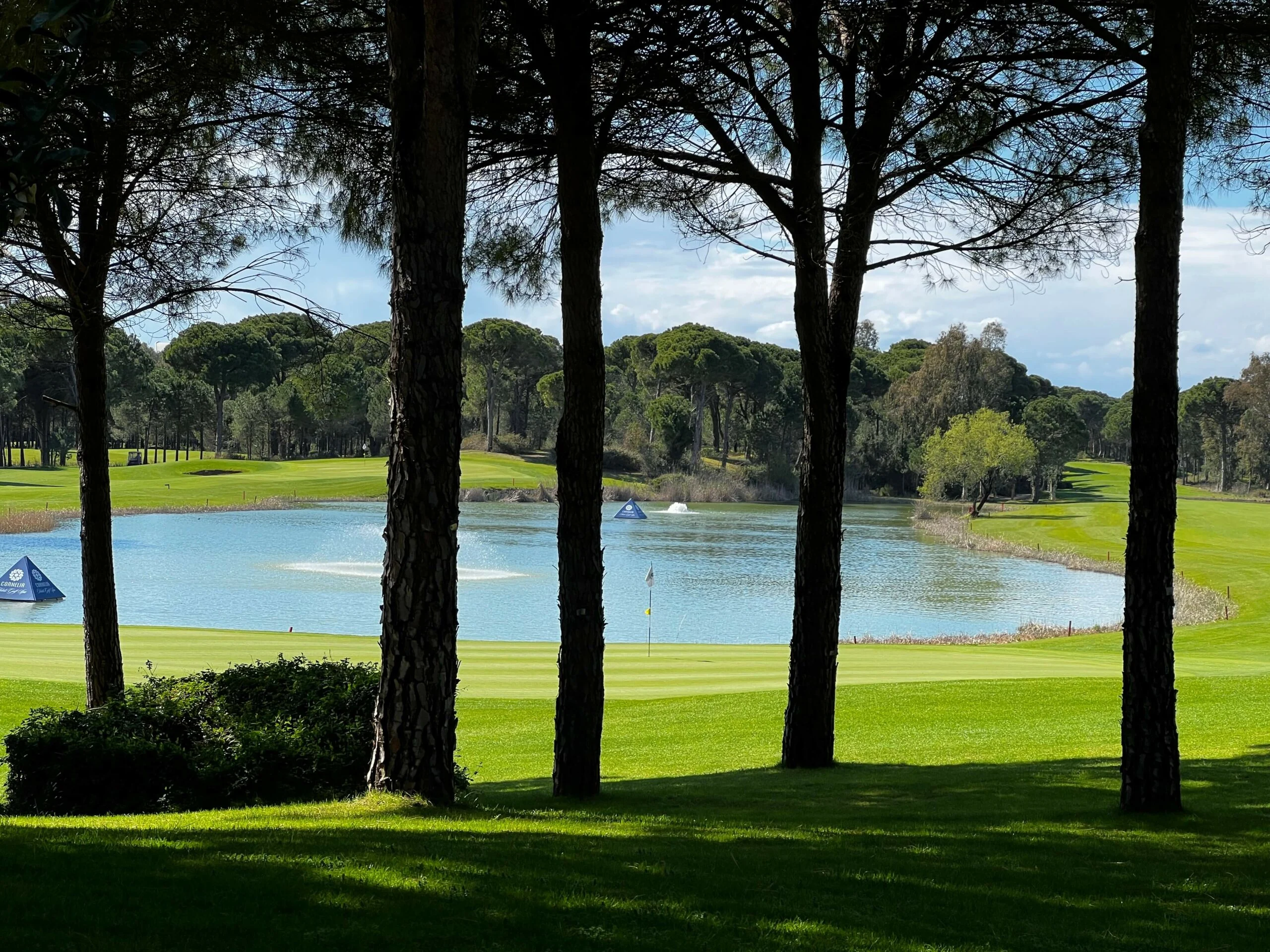 מגרשי גולף באזור בלק