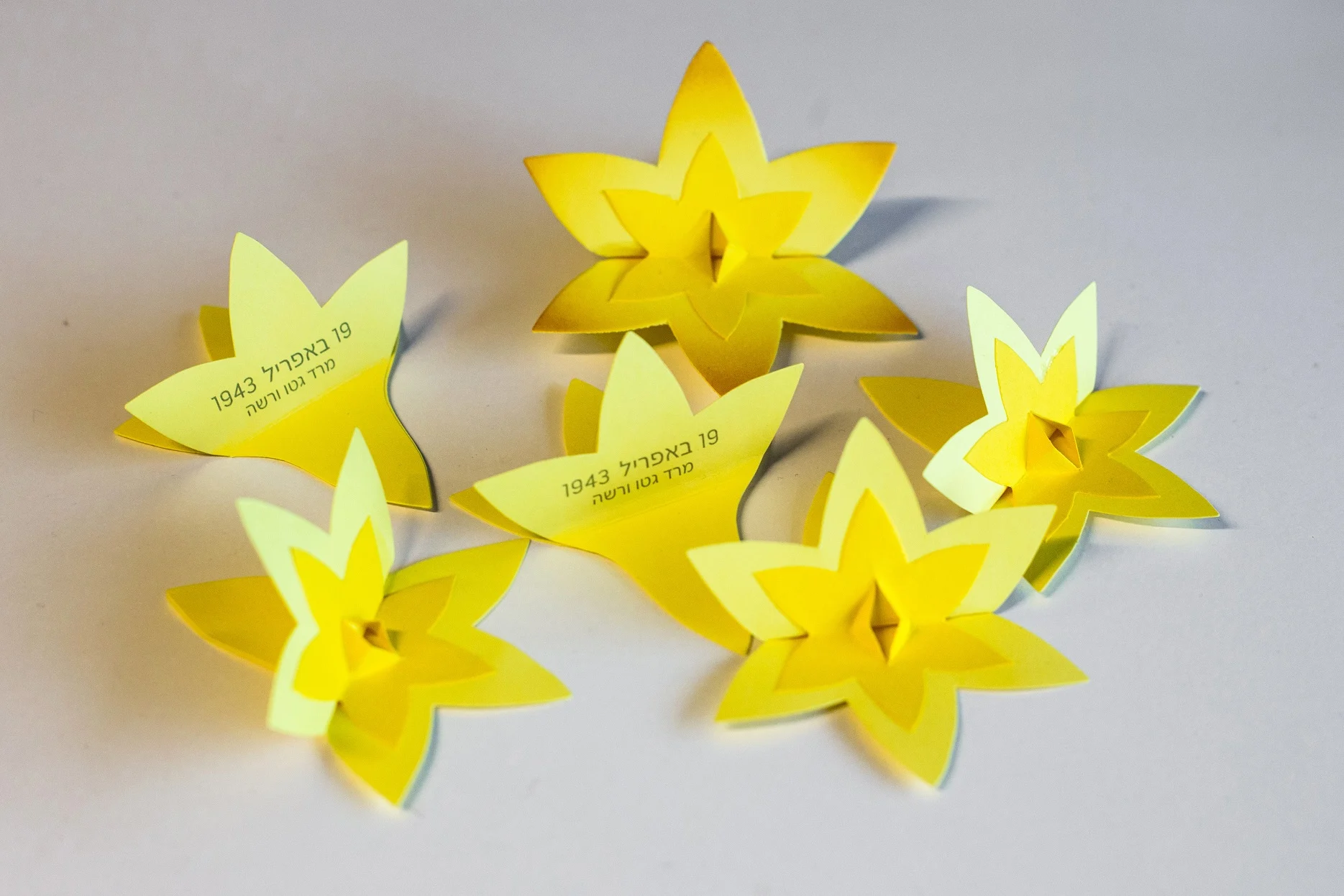 נרקיסי נייר צהובים לזכר מרד גטו ורשה