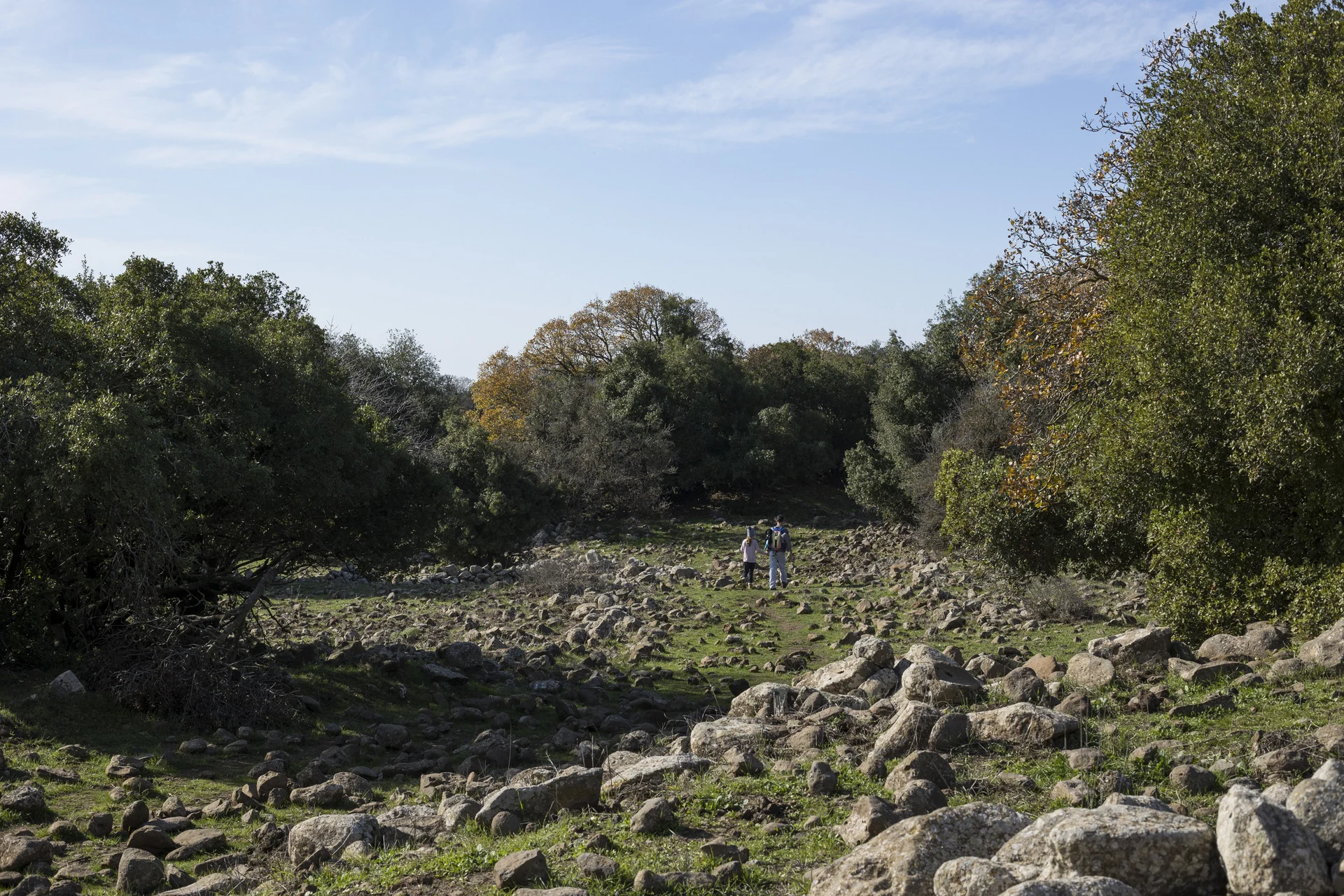 שמורת רכס בשנית