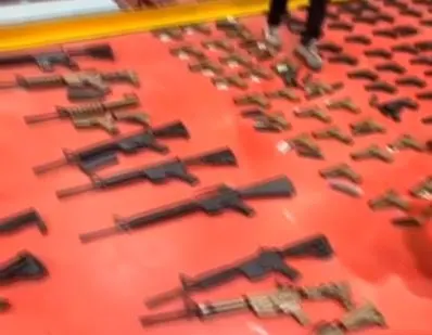 כלי הנשק שאותרו בחיפוש