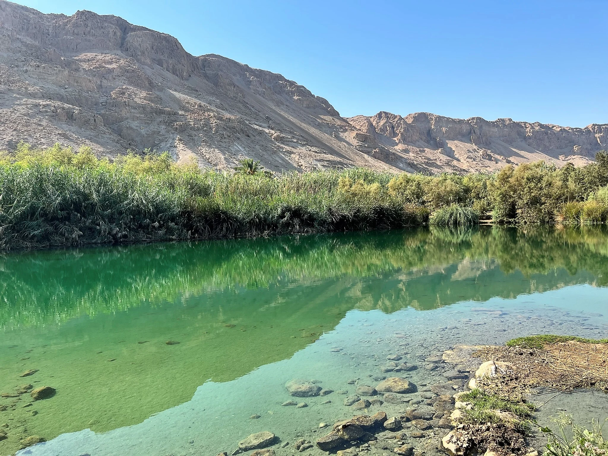 עינות צוקים