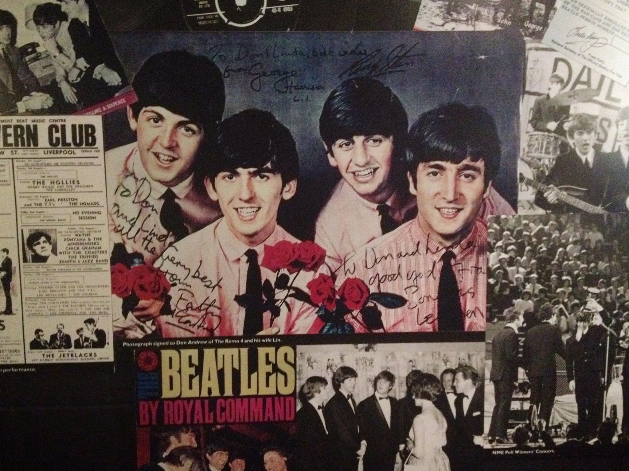 סיפור החיפושיות