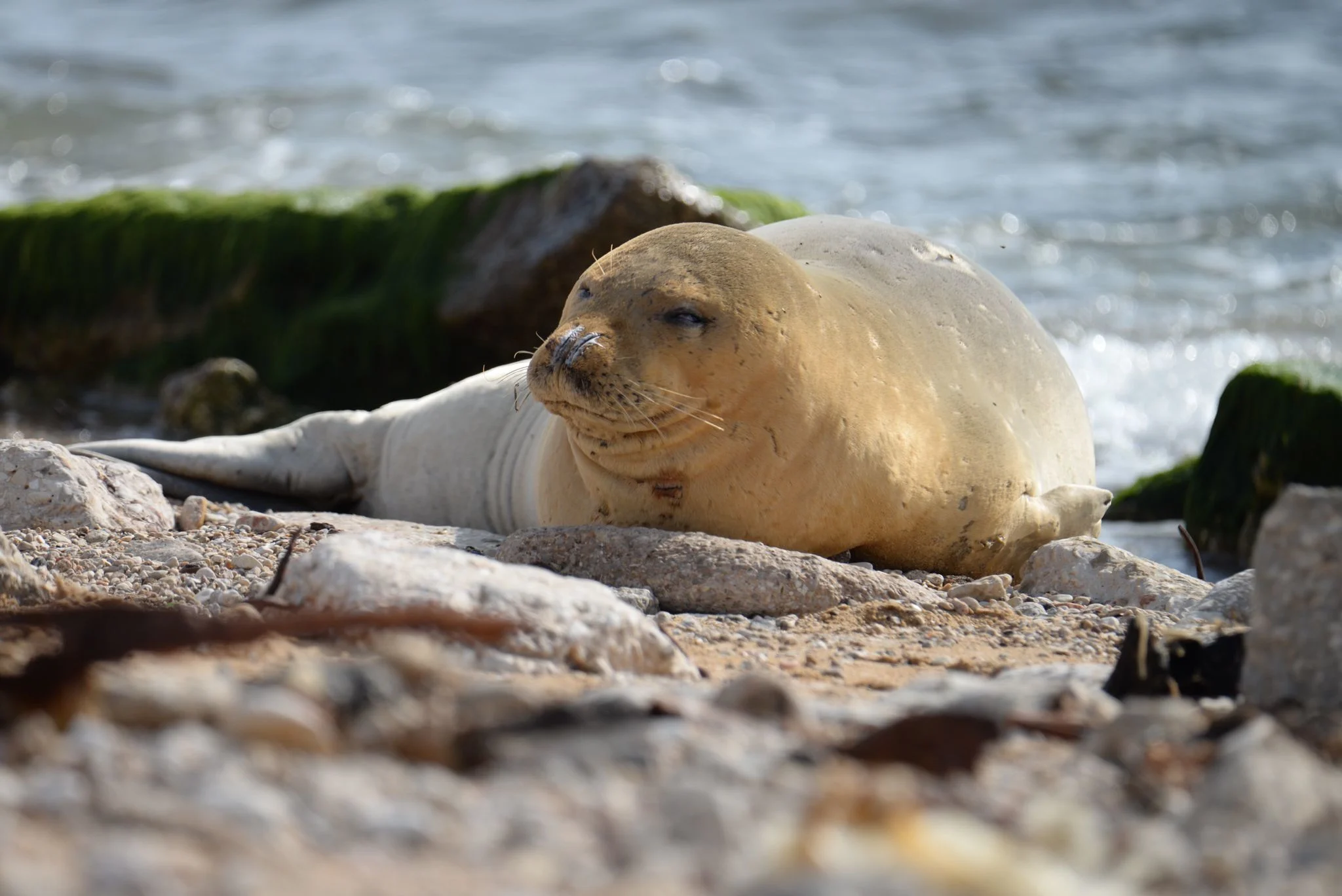 Whatsapp Image 2023 05 12 At 1