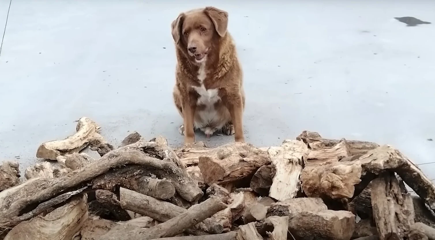 Screenshot 2023 05 13 115856