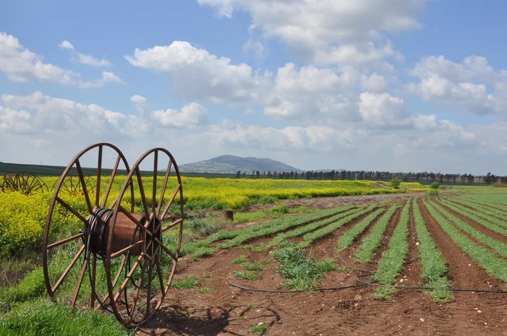 פסטיבל חלב ודבש